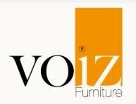 Voiz - logo